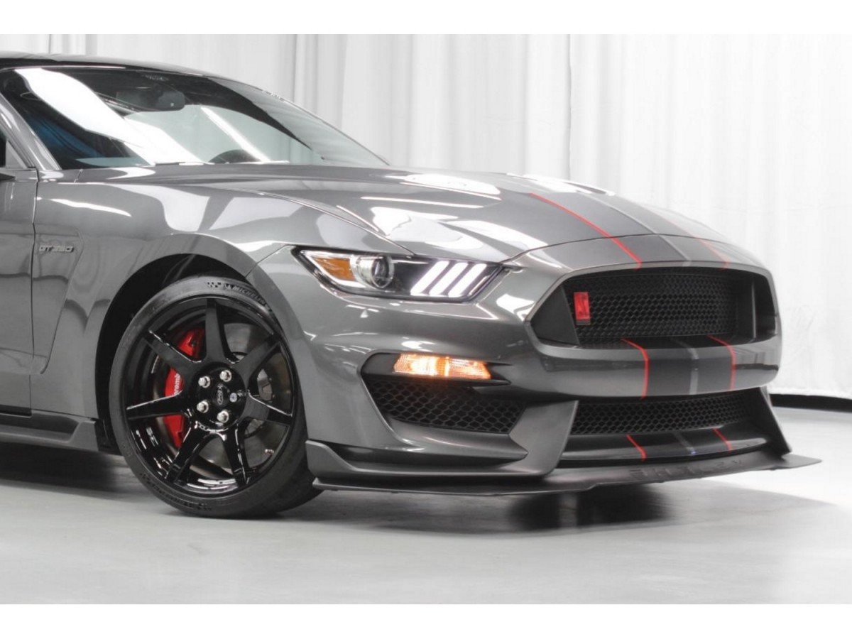 Genuine Ford Shelby GT350R Front Bumper Lower Chin Splitter FR3Z