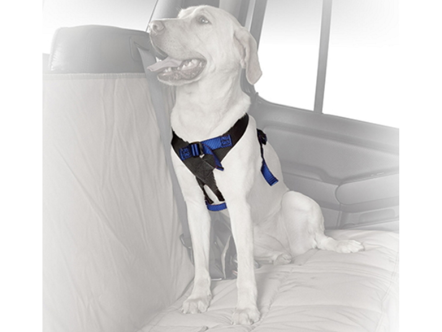 Ford Bronco Sport Performance Parts & Accessories Levittown Ford